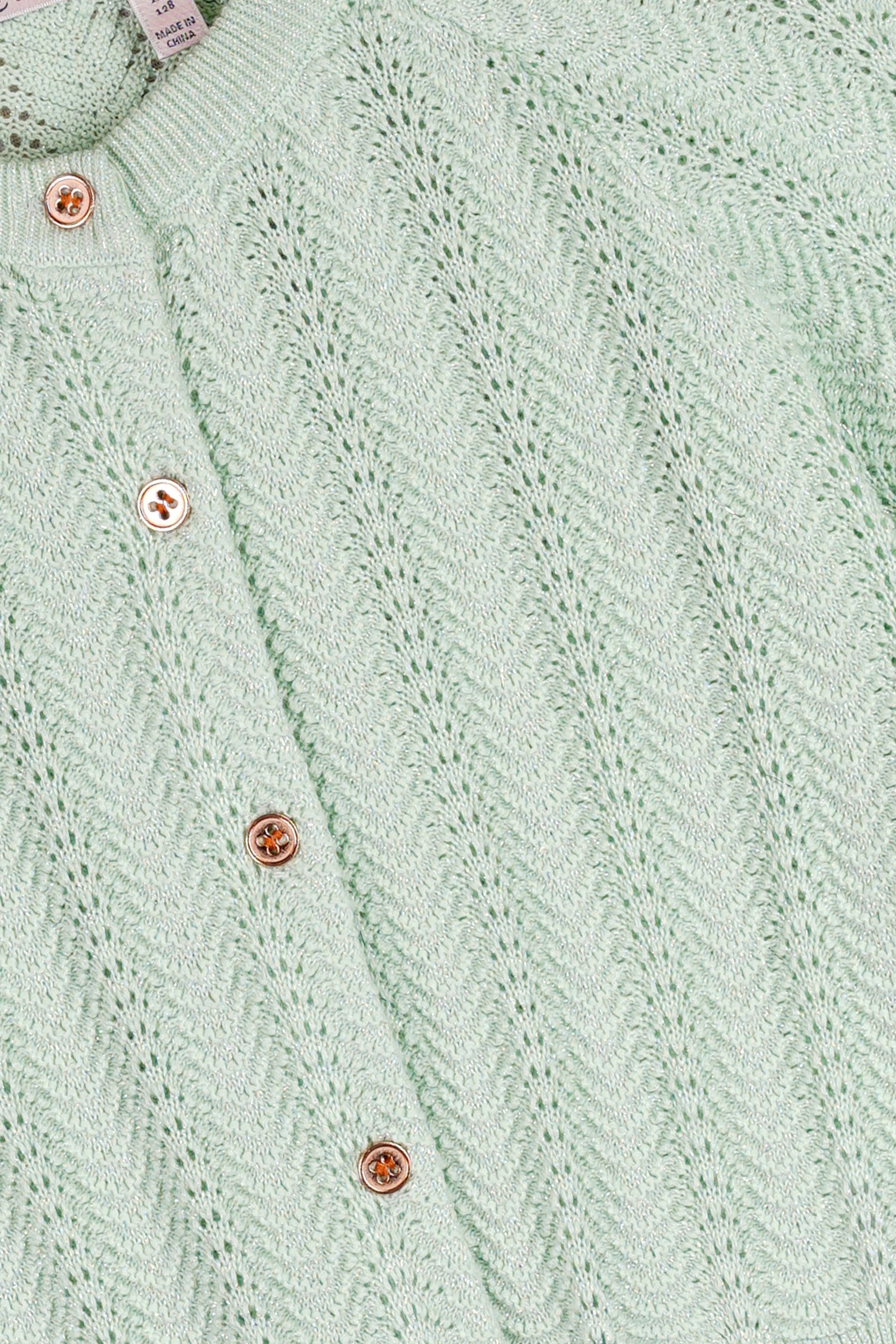 Anais Gebreid Vest Mint Groen
