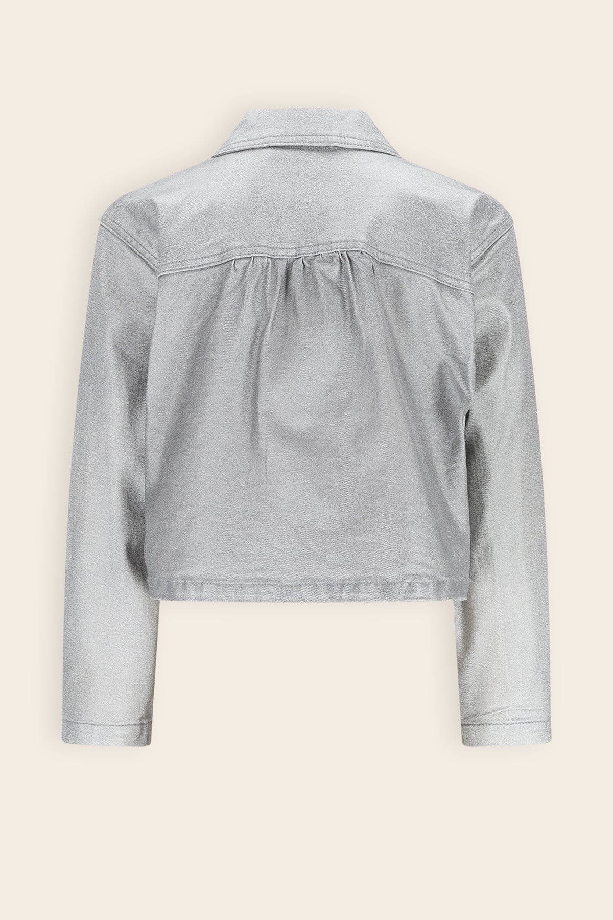 Dimsy Metallic Denim Jas Grijs