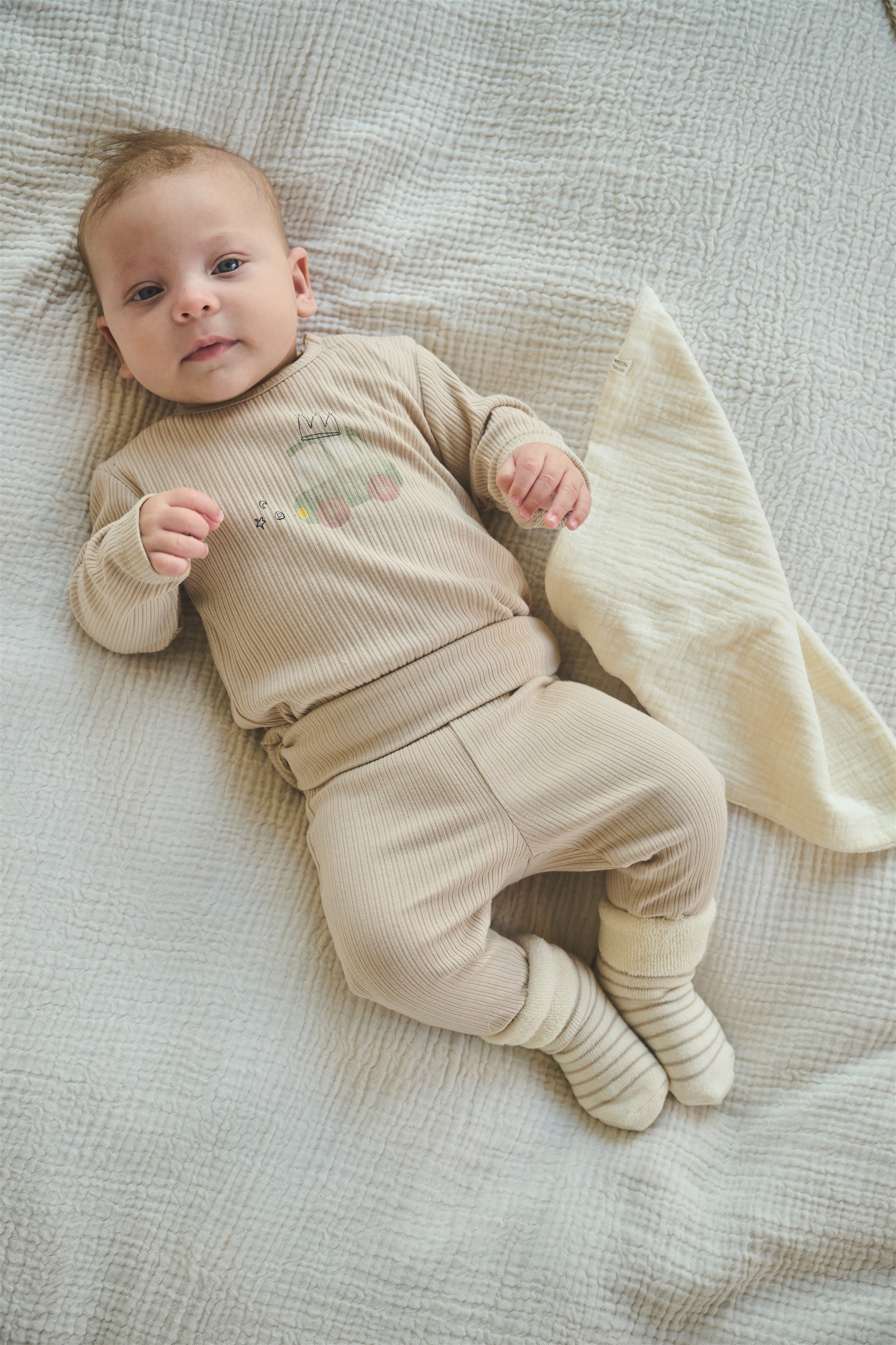 Seg Rib Jersey Broek Oatmeal